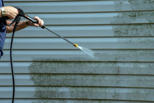 Best Residential Pressure Washing Services  in Orting, WA