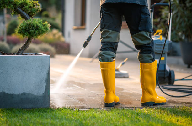 Best Affordable Power Washing  in Orting, WA